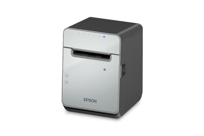 Epson L100